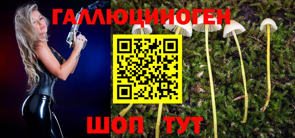Галлюциногенные грибы Psilocybine cubensis Азнакаево